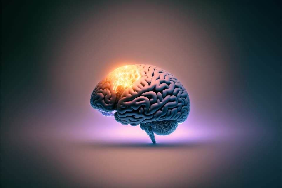 Dịch vụ theo yêu cầu của BMB